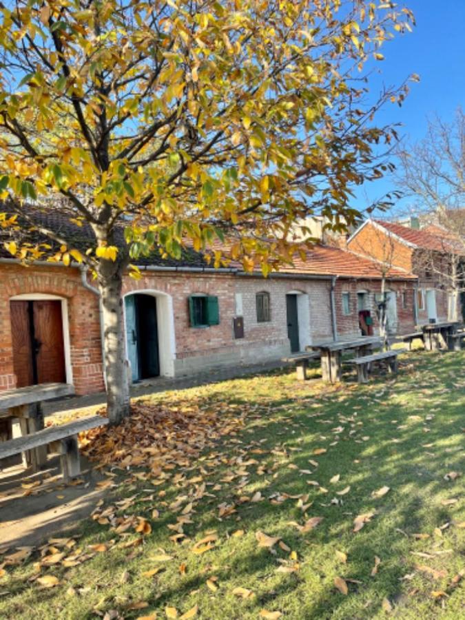 Ubytovani U Dedy Moravská Nová Ves Extérieur photo