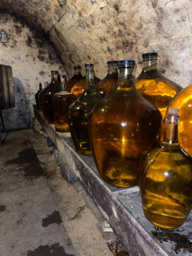 Ubytovani U Dedy Moravská Nová Ves Extérieur photo